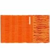 Acne Studios Vaiano Stripe Scarf -Outlet Scarves Store 07 03 2022 SI CA0180 AC4 1 1