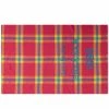 Acne Studios Cassiar Check New Scarf