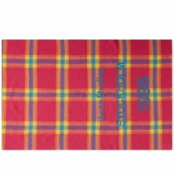 Acne Studios Cassiar Check New Scarf