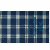 Acne Studios Cassiar Check New Scarf