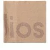 Acne Studios Toronty Logo Scarf